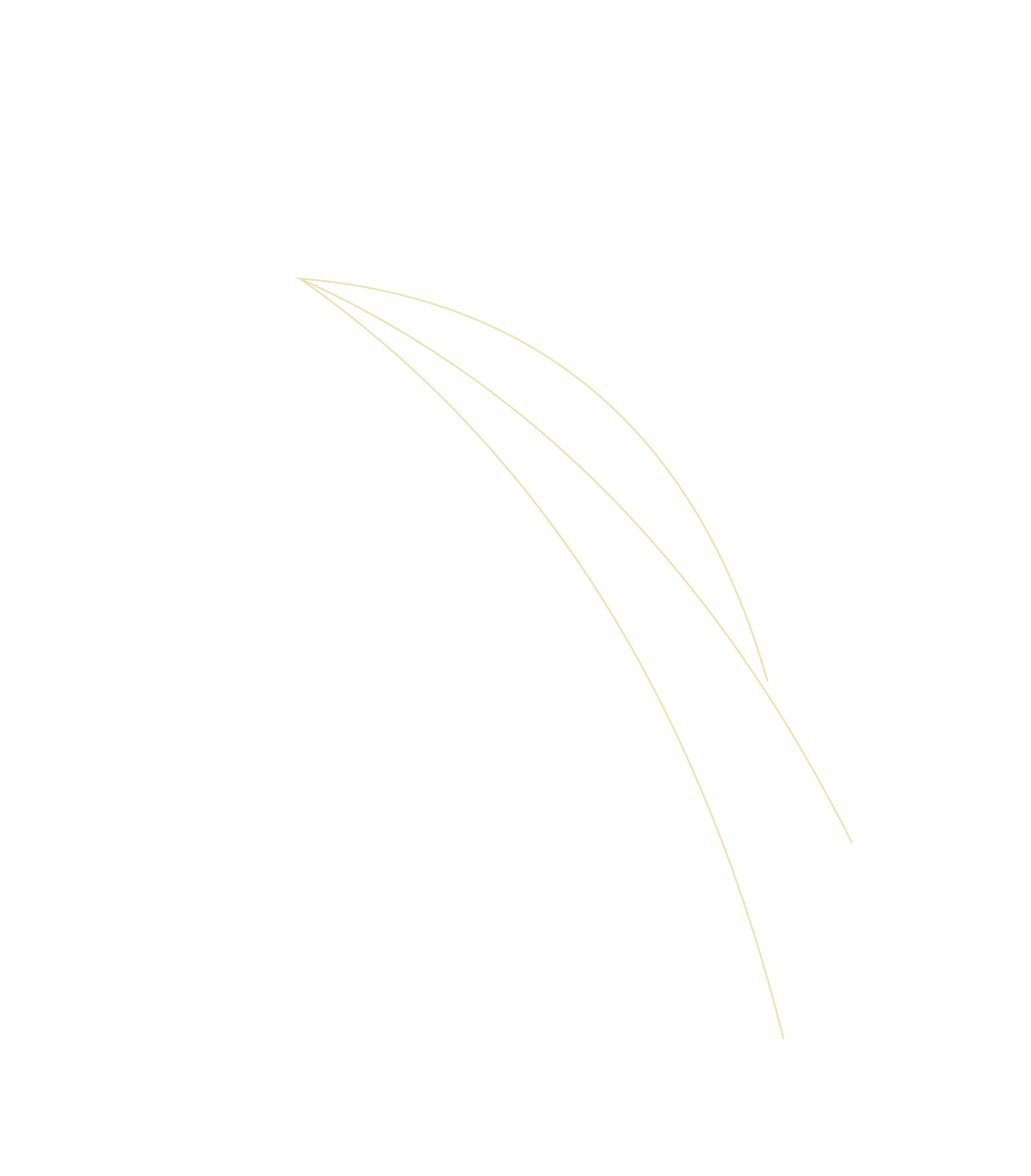 北海道からベトナムへ