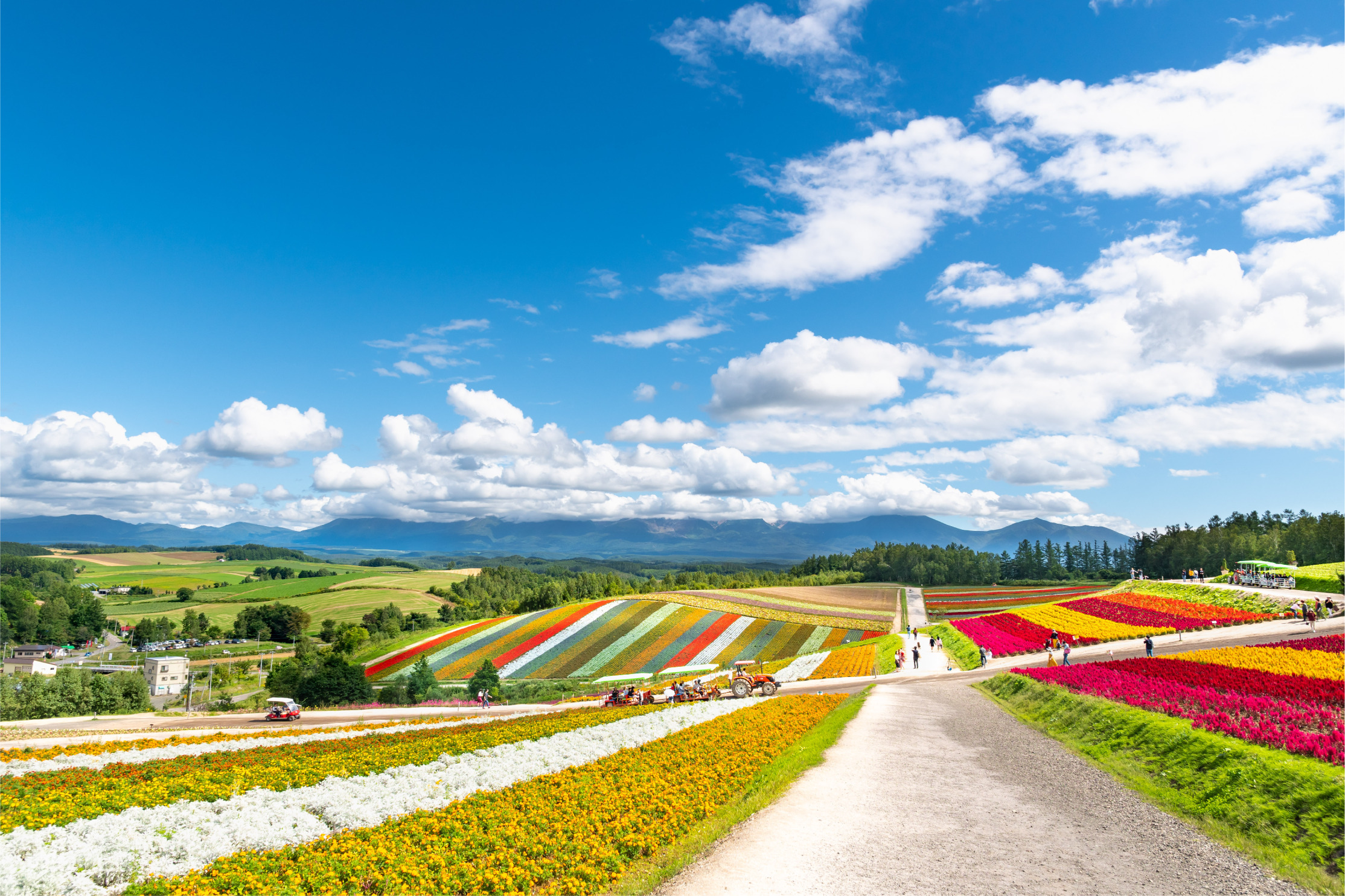北海道の風景