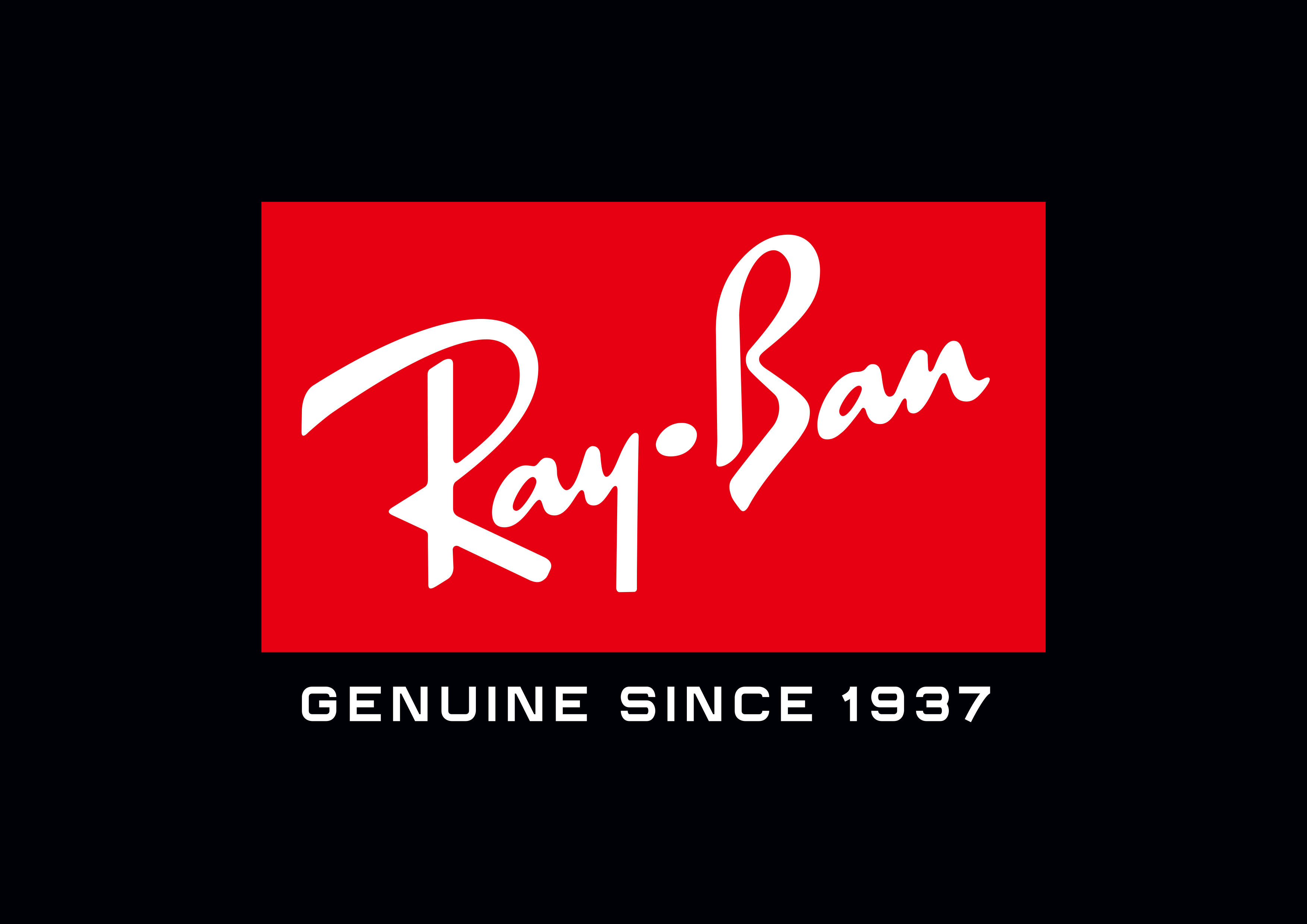 Ray-Ban サングラス